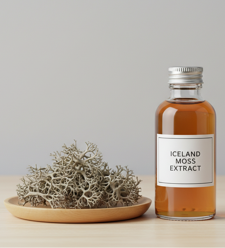 Iceland Moss Thallus Extract 1:4
