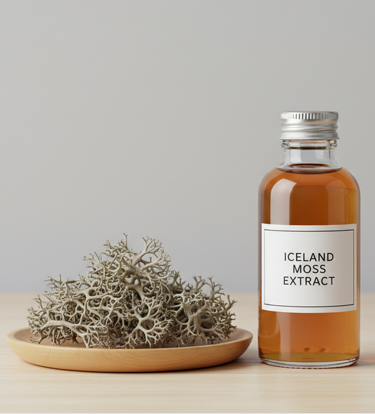 Iceland Moss Thallus Extract 1:4